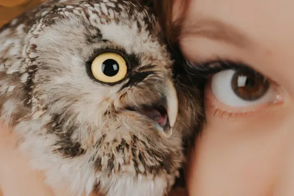 CasinoCasino Kasíno Podpora